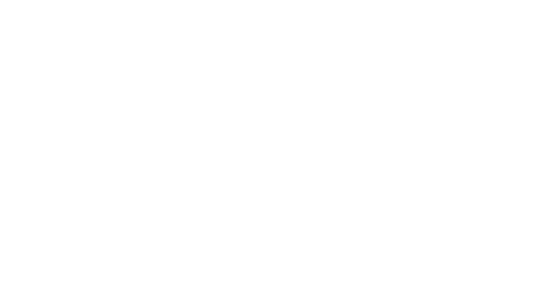 Delfino MAdden logo