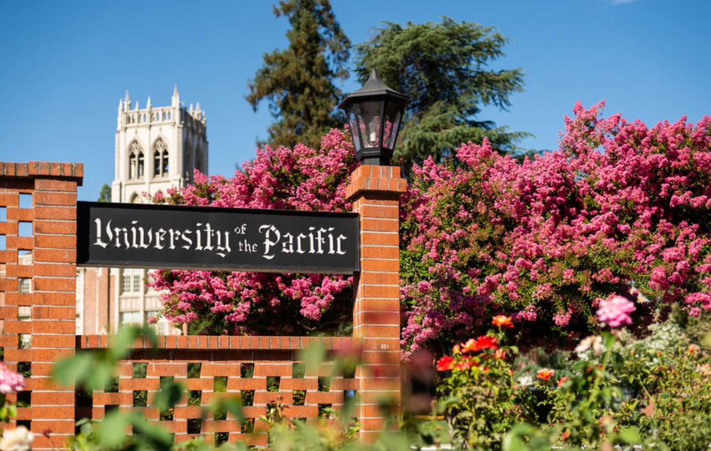 Pacific College