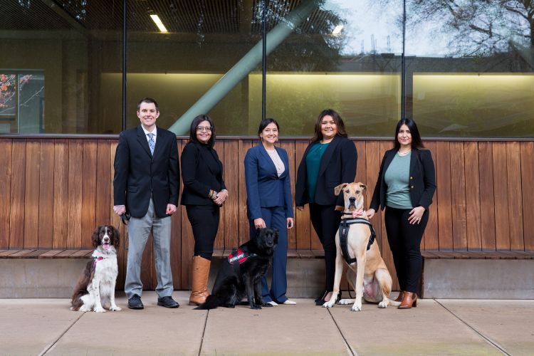 Five people pose in suits in front of a library building, with 3 seated dogs.