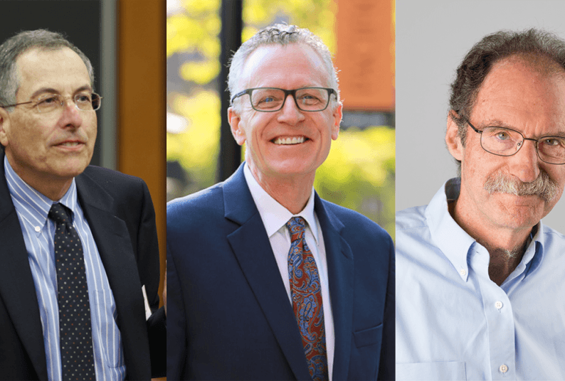 Three headshots of law professors